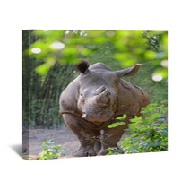 White Rhinoceros Wall Art 65939191