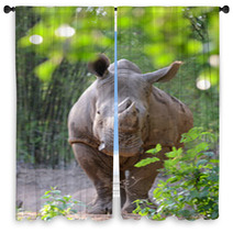 White Rhinoceros Window Curtains 65939191