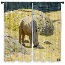 White Rhinoceros Window Curtains 67980913