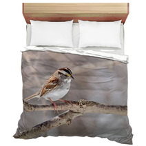 White throated Sparrow Zonotrichia Albicollis Bedding 50999503