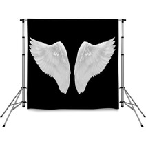 White Wing Isolated Backdrops 57956126