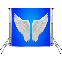 White Wing Isolated Backdrops 57956132