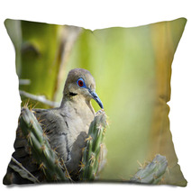 White-Winged Dove Pillows 63198451