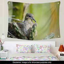 White-Winged Dove Wall Art 63198451