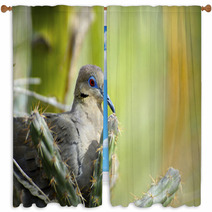 White-Winged Dove Window Curtains 63198451