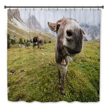 Wide Angle Picture Of Donkey In Dolomites Bath Decor 72899048