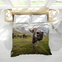 Wide Angle Picture Of Donkey In Dolomites Bedding 72899048