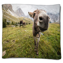 Wide Angle Picture Of Donkey In Dolomites Blankets 72899048