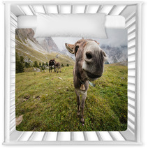 Wide Angle Picture Of Donkey In Dolomites Nursery Decor 72899048