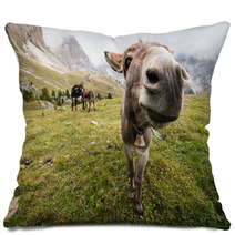 Wide Angle Picture Of Donkey In Dolomites Pillows 72899048