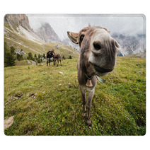 Wide Angle Picture Of Donkey In Dolomites Rugs 72899048