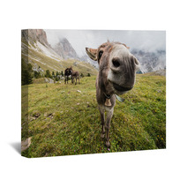 Wide Angle Picture Of Donkey In Dolomites Wall Art 72899048