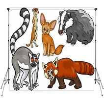 Wild Animals Set Cartoon Illustration Backdrops 63872075