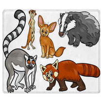 Wild Animals Set Cartoon Illustration Rugs 63872075