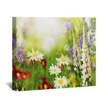 Wild Beautiful Flowers.Summer Meadow Wall Art 67329883
