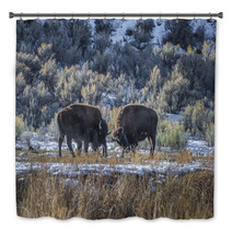 Wild Buffalo In Winter - Yellowstone National Park Bath Decor 61091365