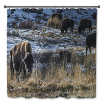Wild Buffalo In Winter - Yellowstone National Park Bath Decor 61091449