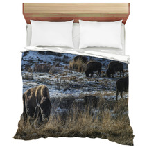 Wild Buffalo In Winter - Yellowstone National Park Bedding 61091449