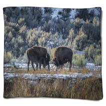 Wild Buffalo In Winter - Yellowstone National Park Blankets 61091365