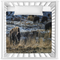 Wild Buffalo In Winter - Yellowstone National Park Nursery Decor 61091449