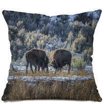 Wild Buffalo In Winter - Yellowstone National Park Pillows 61091365
