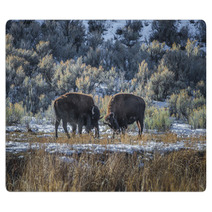 Wild Buffalo In Winter - Yellowstone National Park Rugs 61091365