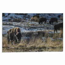 Wild Buffalo In Winter - Yellowstone National Park Rugs 61091449