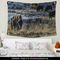 Wild Buffalo In Winter - Yellowstone National Park Wall Art 61091449