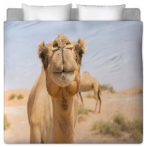 Wild Camel In The Hot Dry Middle Eastern Desert Uae Bedding 97158431