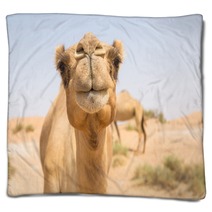 Wild Camel In The Hot Dry Middle Eastern Desert Uae Blankets 97158431