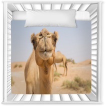 Wild Camel In The Hot Dry Middle Eastern Desert Uae Nursery Decor 97158431