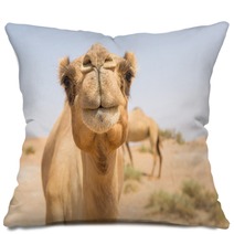 Wild Camel In The Hot Dry Middle Eastern Desert Uae Pillows 97158431