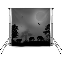 Wild Elephants At Sunset Backdrops 67890917