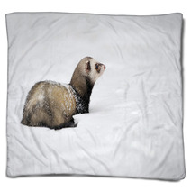 Wild Ferret In Snow Blankets 94504614