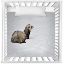 Wild Ferret In Snow Nursery Decor 94504614