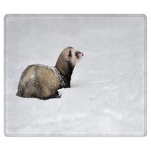 Wild Ferret In Snow Rugs 94504614
