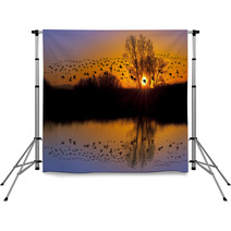 Wild Geese On An Orange Sunset Backdrops 62950791