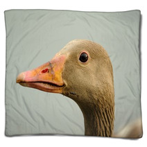 Wild Goose (anser Anser) Blankets 99688922