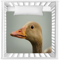 Wild Goose (anser Anser) Nursery Decor 99688922