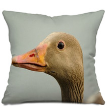 Wild Goose (anser Anser) Pillows 99688922