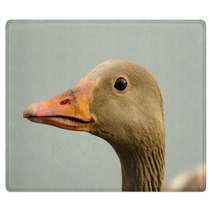 Wild Goose (anser Anser) Rugs 99688922