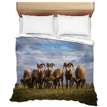 Wild Mountain / Big Horn Sheep In Alberta Canada Bedding 88825827