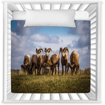 Wild Mountain / Big Horn Sheep In Alberta Canada Nursery Decor 88825827