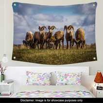 Wild Mountain / Big Horn Sheep In Alberta Canada Wall Art 88825827