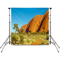 Wild Nature In The Australian Outback Backdrops 49943348