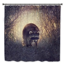 Wild Raccoon Bath Decor 87301733