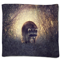 Wild Raccoon Blankets 87301733