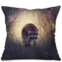 Wild Raccoon Pillows 87301733