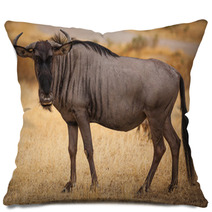 Wildebeest Close Up Looking At Camera Pillows 57754147