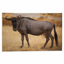 Wildebeest Close Up Looking At Camera Rugs 57754147